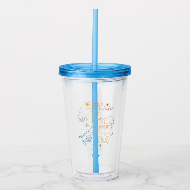 Rainbow HOGWARTS™ Houses Constellations Acrylic Tumbler (Front)