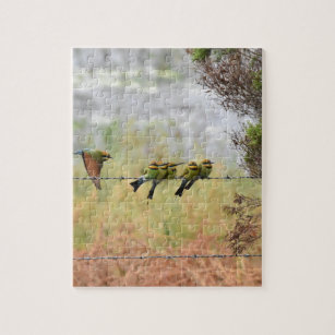 Rainbow Bee Eater Gifts On Zazzle