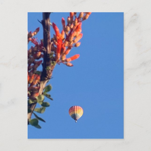 Rainbow Hot Air Balloon New Mexico Postcard (Front)