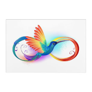 Rainbow Hummingbird with Infinity symbol Acrylic Print