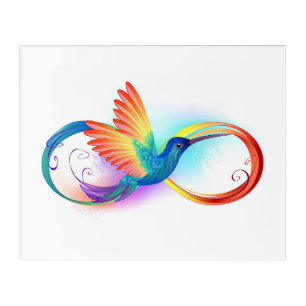 Rainbow Hummingbird with Infinity symbol Acrylic Print