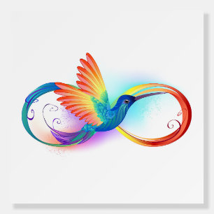 Rainbow Hummingbird with Infinity symbol Foam Board
