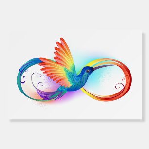 Rainbow Hummingbird with Infinity symbol Foam Board