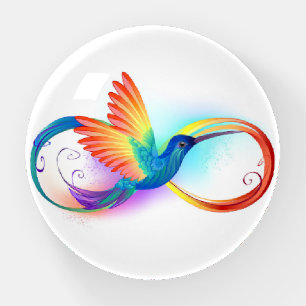 Rainbow Hummingbird with Infinity symbol Paperweight