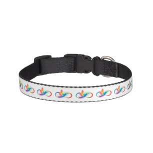 Rainbow Hummingbird with Infinity symbol Pet Collar