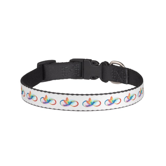 Rainbow Hummingbird with Infinity symbol Pet Collar (Front)