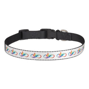 Rainbow Hummingbird with Infinity symbol Pet Collar