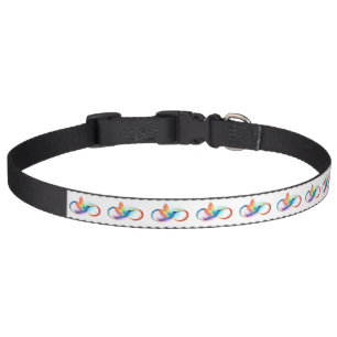 Rainbow Hummingbird with Infinity symbol Pet Collar