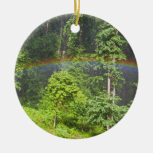 Rainbow in the Forest Ceramic Ornament