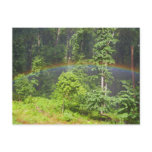 Rainbow in the Forest Postcard