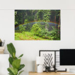Rainbow in the Forest Poster
