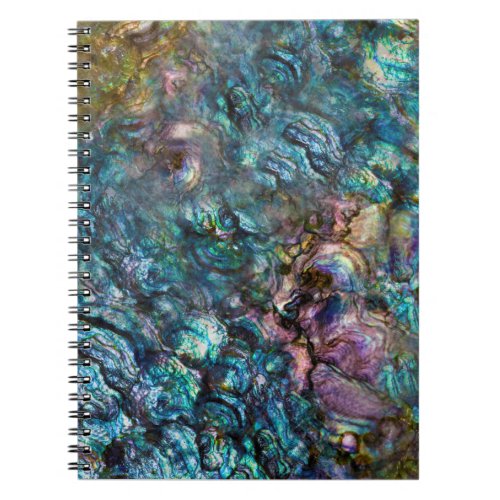 Rainbow Iridescent Abalone Sea Shell Notebook