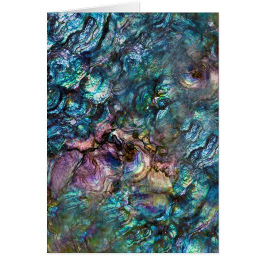 Rainbow Iridescent Abalone Sea Shell Thank You Cards (Front)