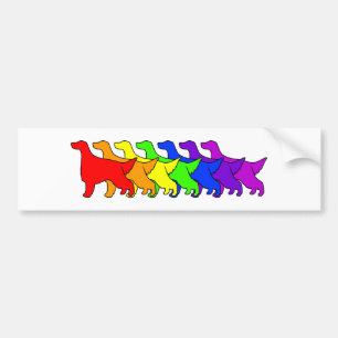 Rainbow Irish Setter Bumper Sticker