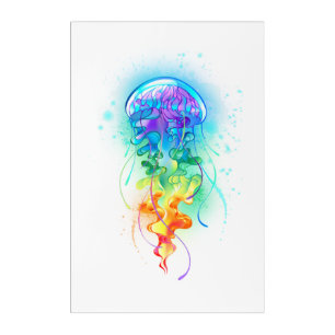 Rainbow jellyfish acrylic print