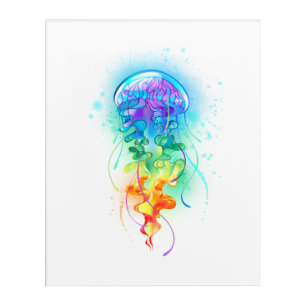 Rainbow jellyfish acrylic print