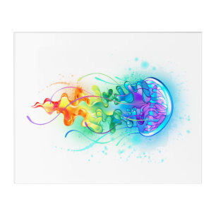 Rainbow jellyfish acrylic print