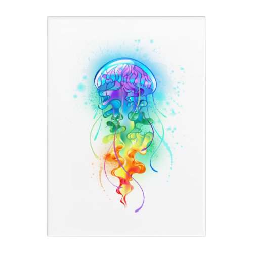 Rainbow jellyfish acrylic print