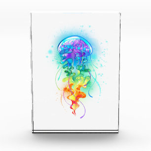 Rainbow jellyfish photo block