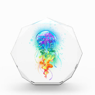 Rainbow jellyfish photo block