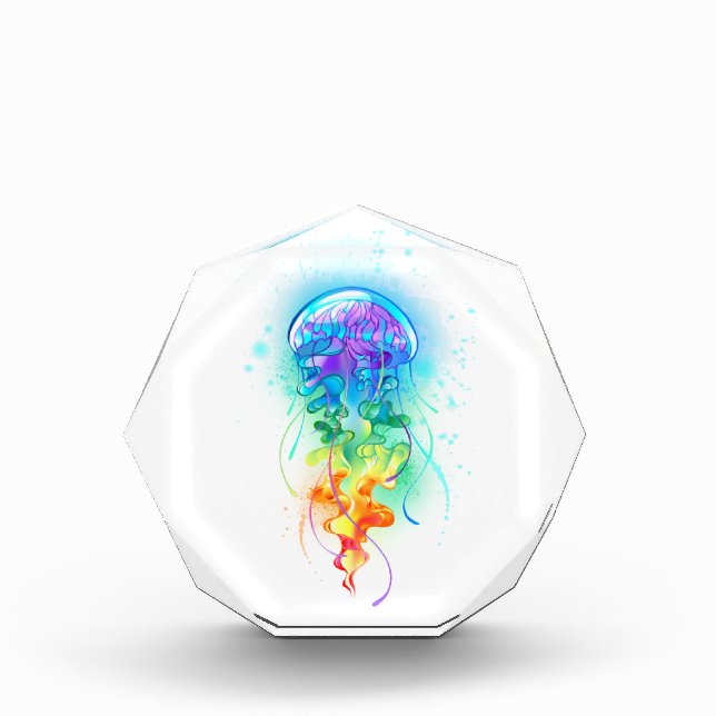 Rainbow jellyfish photo block (Front)