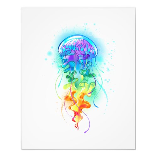 Rainbow jellyfish photo print