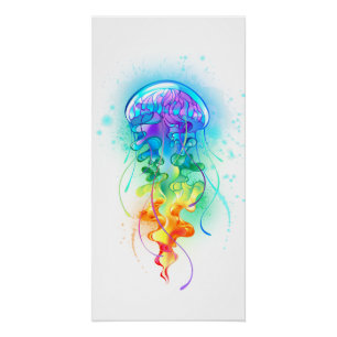 Rainbow jellyfish poster