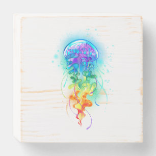 Rainbow jellyfish wooden box sign