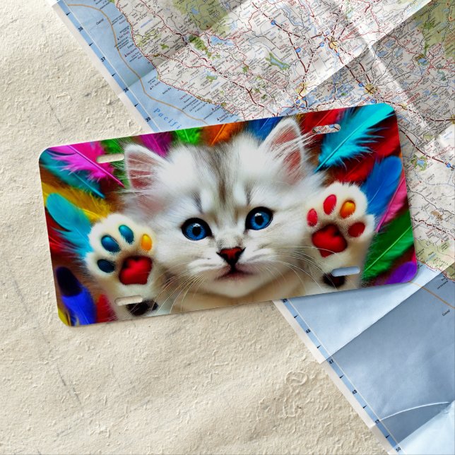 Rainbow Kitten License Plate (In Situ)