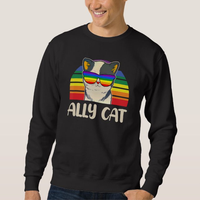 Rainbow Lgbt Gay Lesbian Trans Pride Ally Cat Glas Sweatshirt (Front)