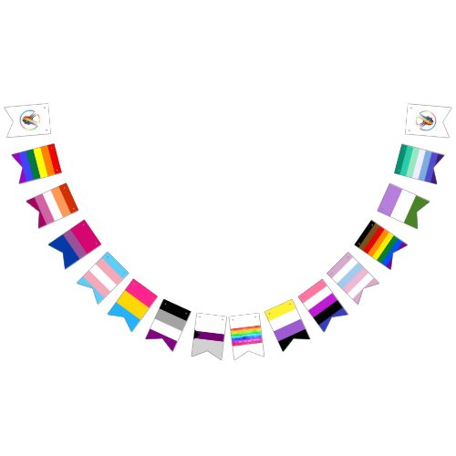 Rainbow LGBTQIA Bunting Flags