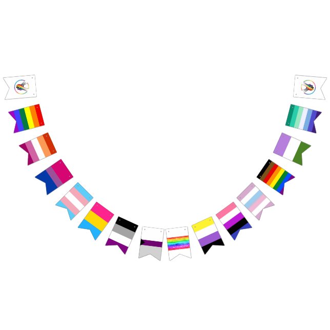 Rainbow LGBTQIA+ Bunting Flags (All)