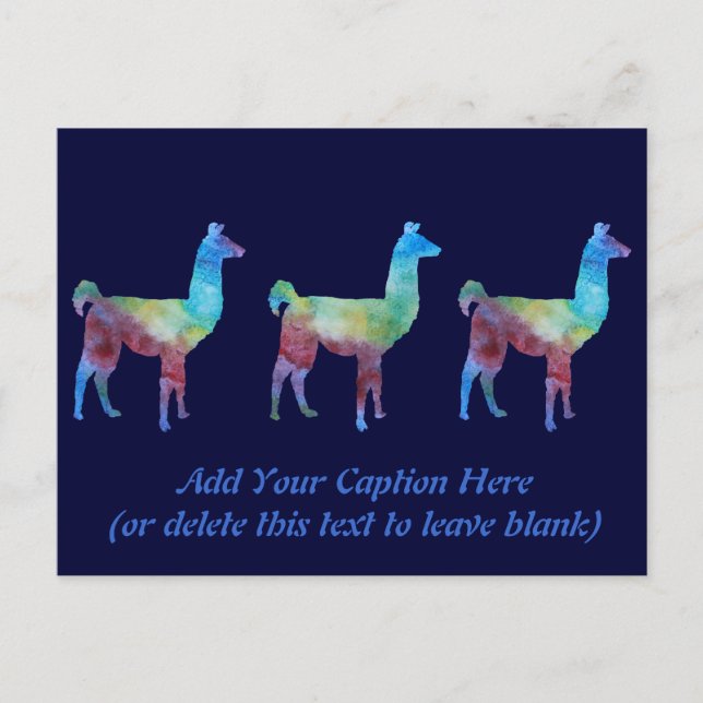 Rainbow Llamas Postcard (Front)