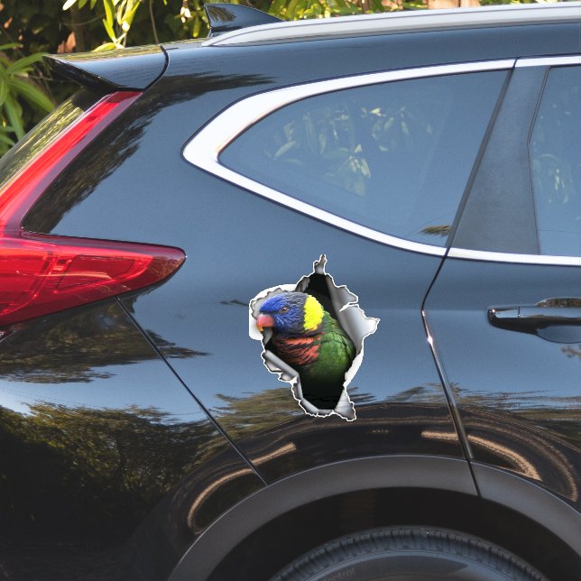 Rainbow Lorikeet Bird Decal– Exotic Parrot Sticker (Car Side)