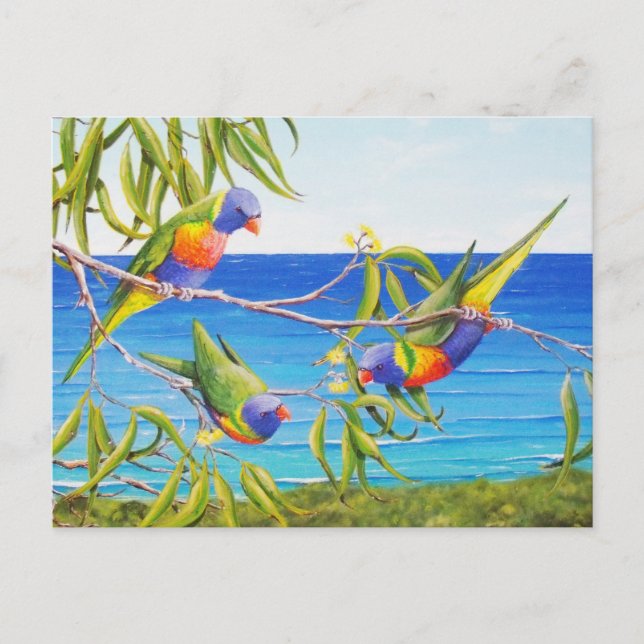 Rainbow Lorikeet Birds Blue Australian Painting Postcard (Front)