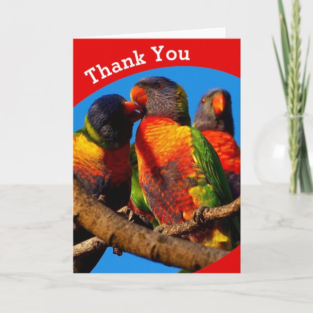 Rainbow Lorikeet blank Thank You card (Front)