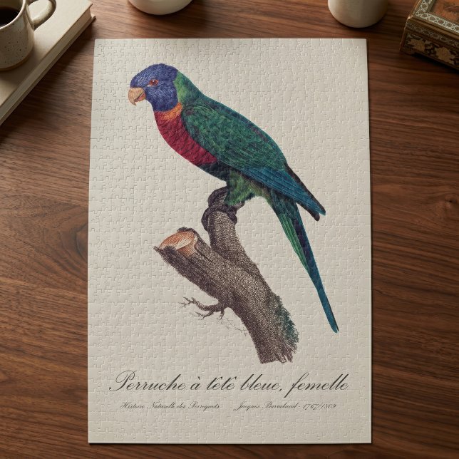Rainbow lorikeet female, Trichoglossus moluccanus Jigsaw Puzzle (Perruche a tete bleue, femelle / Rainbow lorikeet, female. Jigsaw Puzzle)