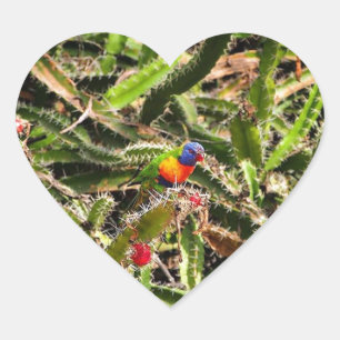Rainbow Lorikeet in cactus heart sticker