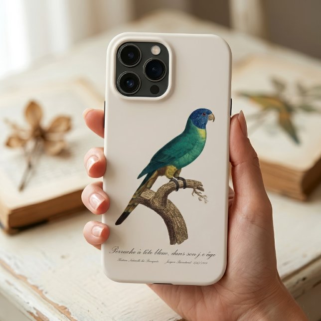 Rainbow lorikeet juvenile Trichoglossus moluccanus Case-Mate iPhone Case (Perruche a tete bleue / Rainbow lorikeet, juvenile. iPhone Case)