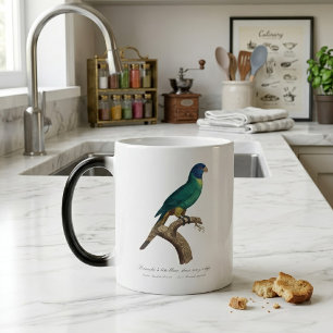 Rainbow lorikeet juvenile Trichoglossus moluccanus Color Morph Mug