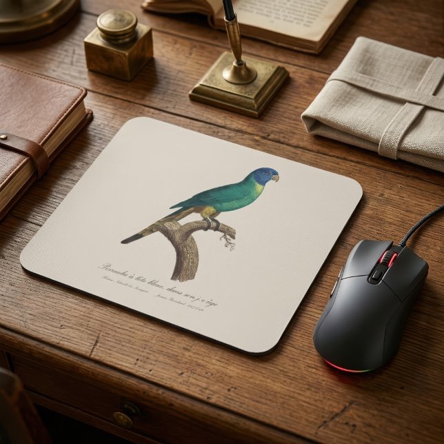 Rainbow lorikeet juvenile Trichoglossus moluccanus Mouse Pad (Perruche a tete bleue / Rainbow lorikeet, juvenile. Mouse Pad)