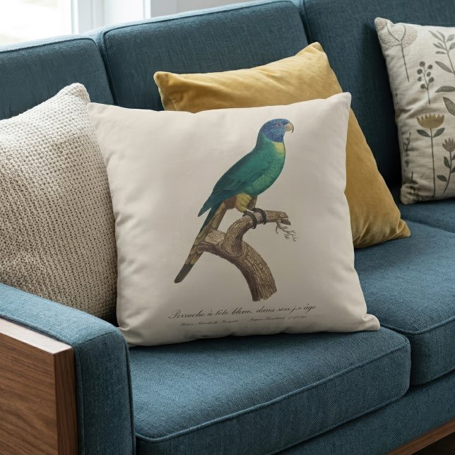 Rainbow lorikeet juvenile Trichoglossus moluccanus Throw Pillow (Perruche a tete bleue / Rainbow lorikeet, juvenile. Throw Pillow)