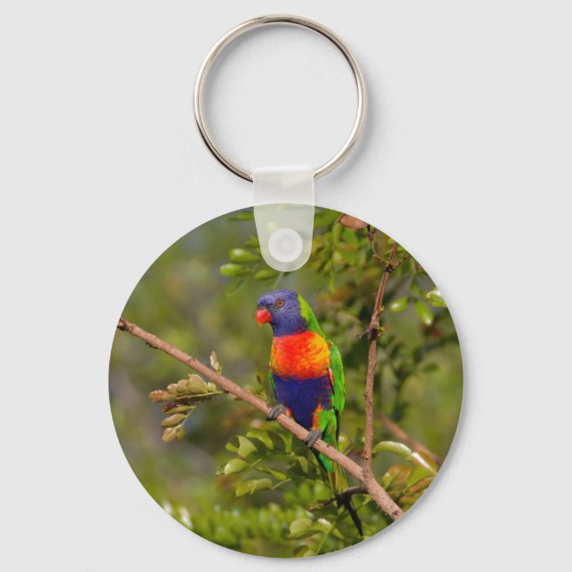 Rainbow lorikeet keychain (Front)