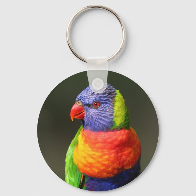 Rainbow Lorikeet Keychain (Front)
