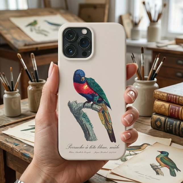 Rainbow Lorikeet Male, Trichoglossus Moluccanus Case-Mate iPhone Case (Rainbow Lorikeet Male, Trichoglossus Moluccanus. iPhone Case)