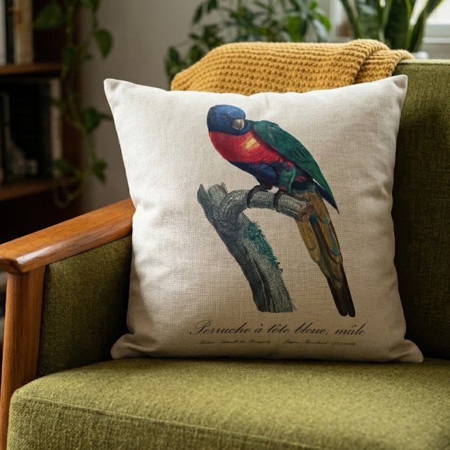 Rainbow Lorikeet Male, Trichoglossus Moluccanus Throw Pillow (Rainbow Lorikeet Male, Trichoglossus Moluccanus. Throw Pillow)