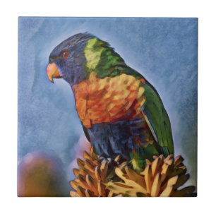 Rainbow Lorikeet Parrot Bird Ceramic Tile