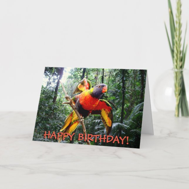 Rainbow lorikeet parrot customizable birthday card (Front)