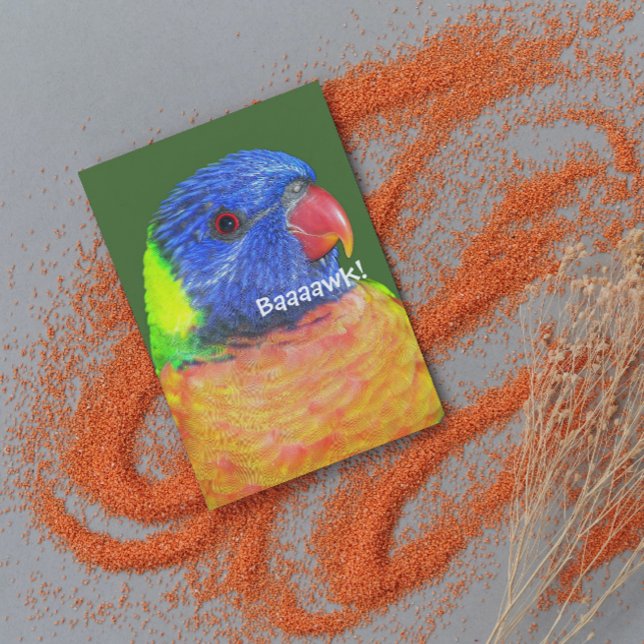 Rainbow Lorikeet Parrot Photo Father's Day Card (In Situ)