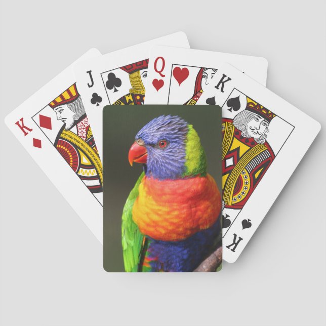 Rainbow Lorikeet Poker Cards (Back)